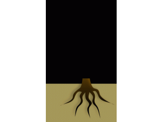 Stump harvesting completely removes the stump - all of it - not just the top layer.