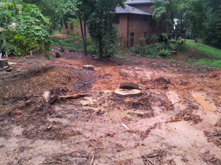 Large pine and hardwood stumps to be removed