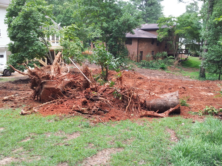 A pile of stumps removed from the backyard