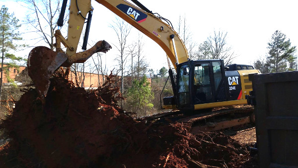 Monstrous stump upended in its hole, before being cut down and placed into rolloff containers.
