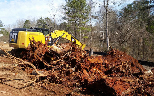 Pine and hardwood stumps extracted and waiting to be loaded into rolloff cans.