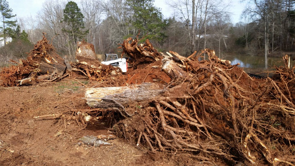 Lot clearing, trees, brush, kudzu, wisteria, trash, site, agricultural, residental, construction