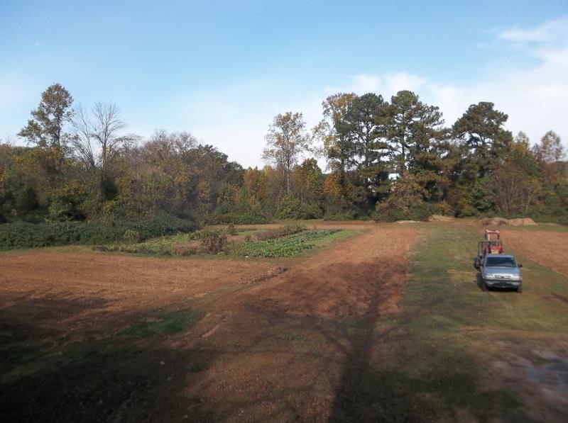 Tilling done, ready to plant cover crop