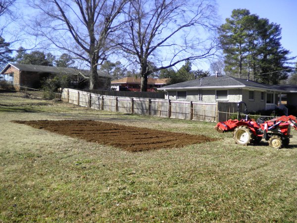 Rototilling a backyard garden