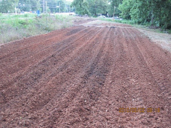 Raised beds in the northeast bed