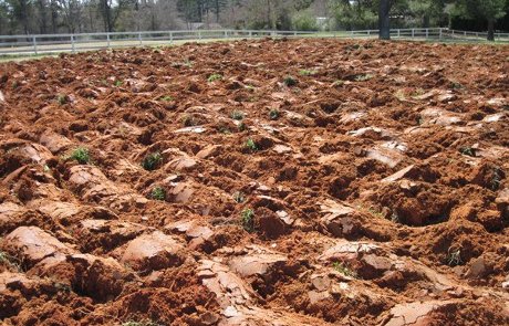 Garden plowing tilling vegetable crop coop community farm